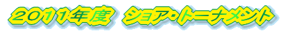 �Q�O�P�O�N�x�@�V���A�E�g�[�i�����g